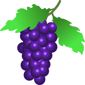 openclipart圖庫：grapes