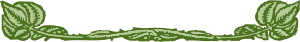 openclipart圖庫：leaf border
