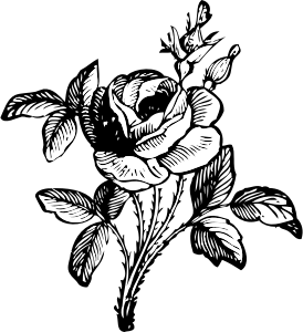 openclipart圖庫：rose