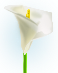 openclipart圖庫：The Lily