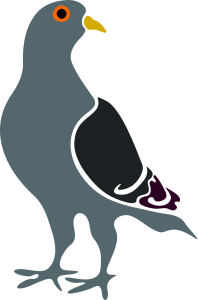openclipart圖庫：Pigeon