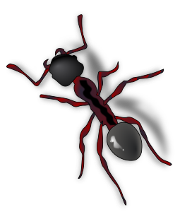 openclipart圖庫：ant