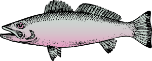 openclipart圖庫：fish