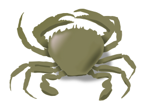 openclipart圖庫：the crab