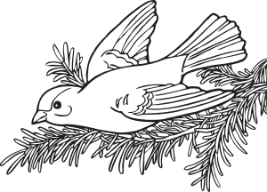 openclipart圖庫：Coloring Book Willow Goldfinch