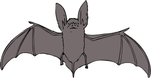 openclipart圖庫：bat