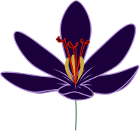 openclipart圖庫：Crocus Blossom