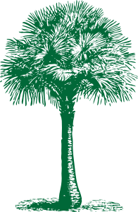 openclipart圖庫：Australian Fan Palm