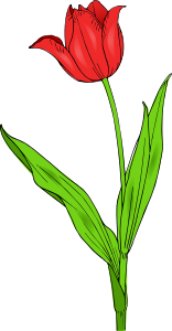 openclipart圖庫：colored tulip