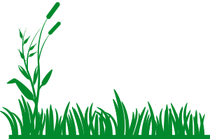openclipart圖庫：grass background