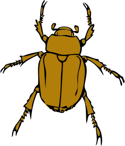 openclipart圖庫：chafer bug