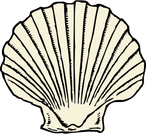 openclipart圖庫：scallop shell