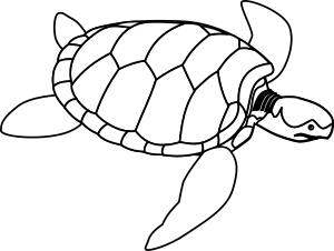 openclipart圖庫：Green sea turtle line art
