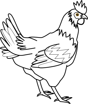openclipart圖庫：chicken line art davidone Chicken