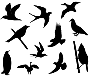 openclipart圖庫：Birds Silhouette