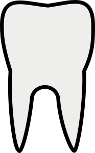 openclipart圖庫：Tooth Line Art