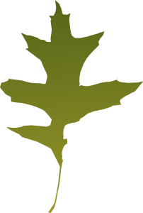 openclipart圖庫：leaf oak green