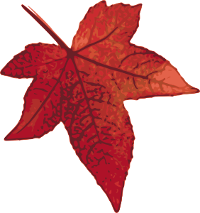 openclipart圖庫：Red maple leaf