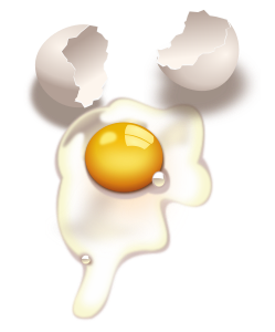openclipart圖庫：egg -uncooked