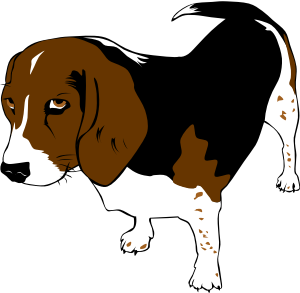 openclipart圖庫：Copper the Beagle