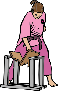 openclipart圖庫：Karate girl breaks board