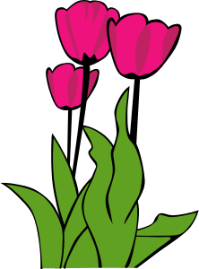 openclipart圖庫：Tulips