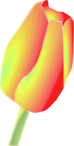 openclipart圖庫：Tulip Flower