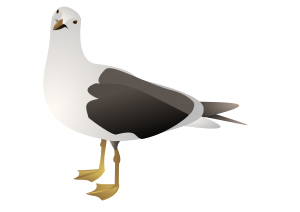openclipart圖庫：Seagull