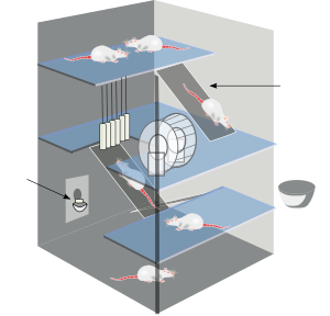 openclipart圖庫：Environmental Enrichment