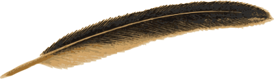 the very nice Gryphon feather