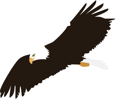 soaring eagle silhouette