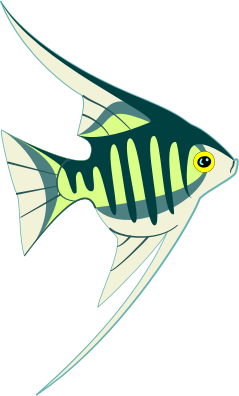 a tropical fish - Openclipart
