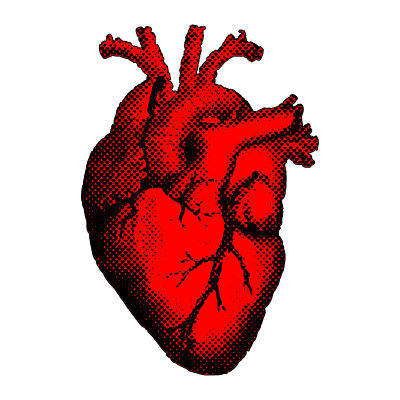 Anatomical Heart - Openclipart