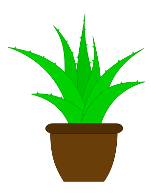 Aloe Vera with a Label - Openclipart