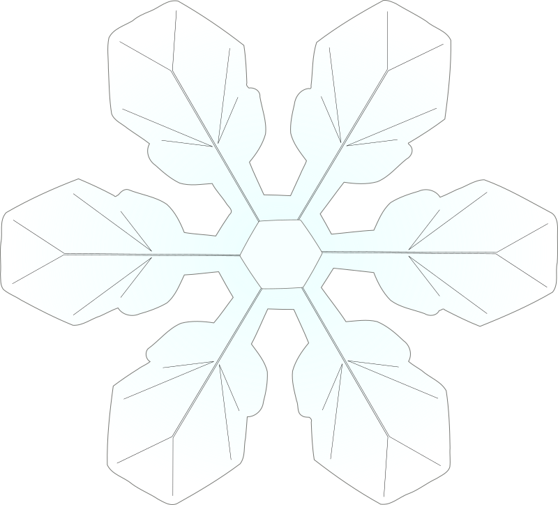 snowflake1