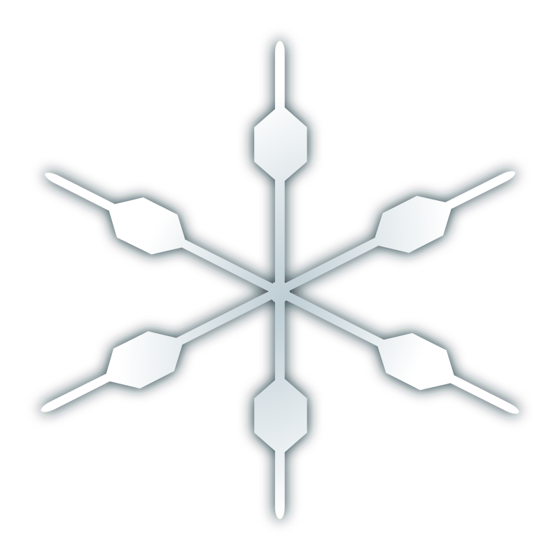 snow flake icon