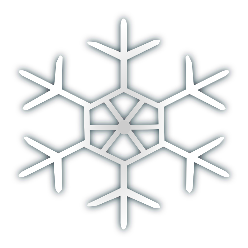 Snow flake icon 4