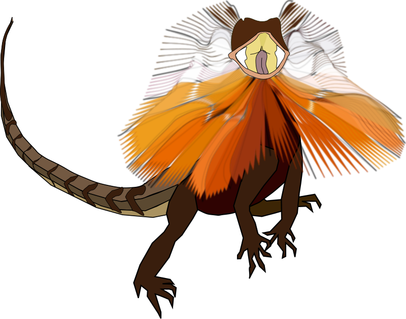 Frill-necked lizard (dragon)