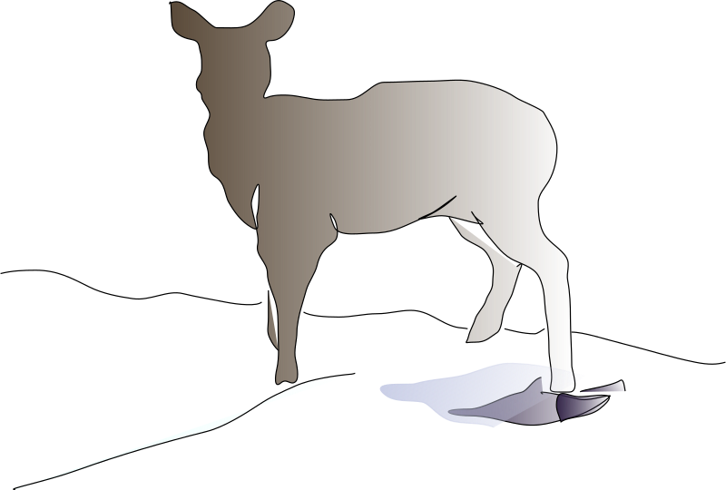 Deer Clipart