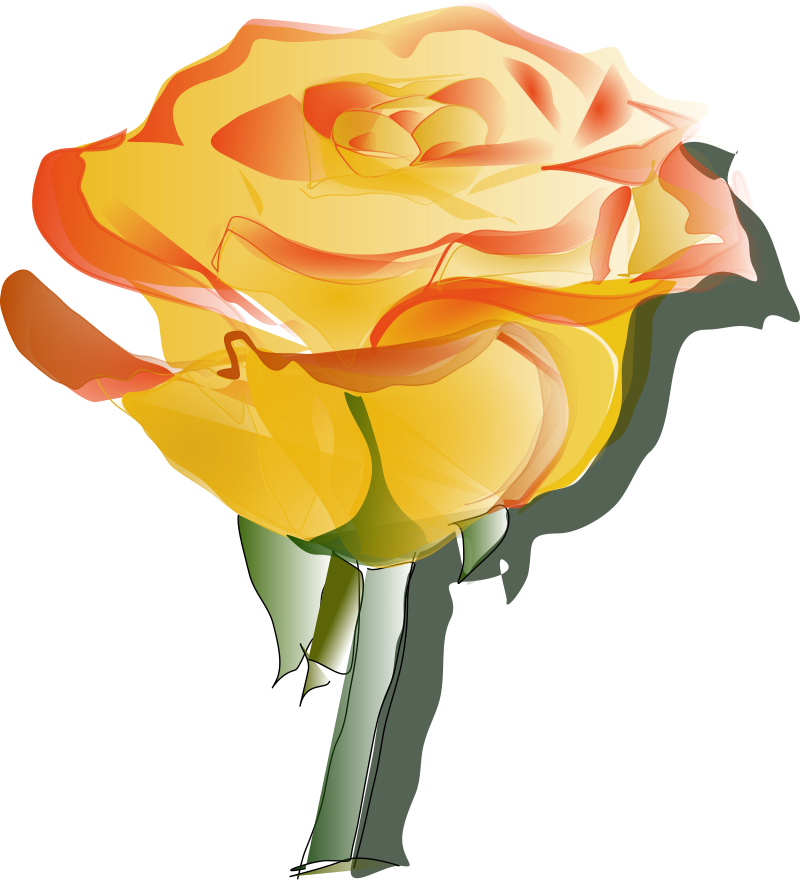 YellowRose3