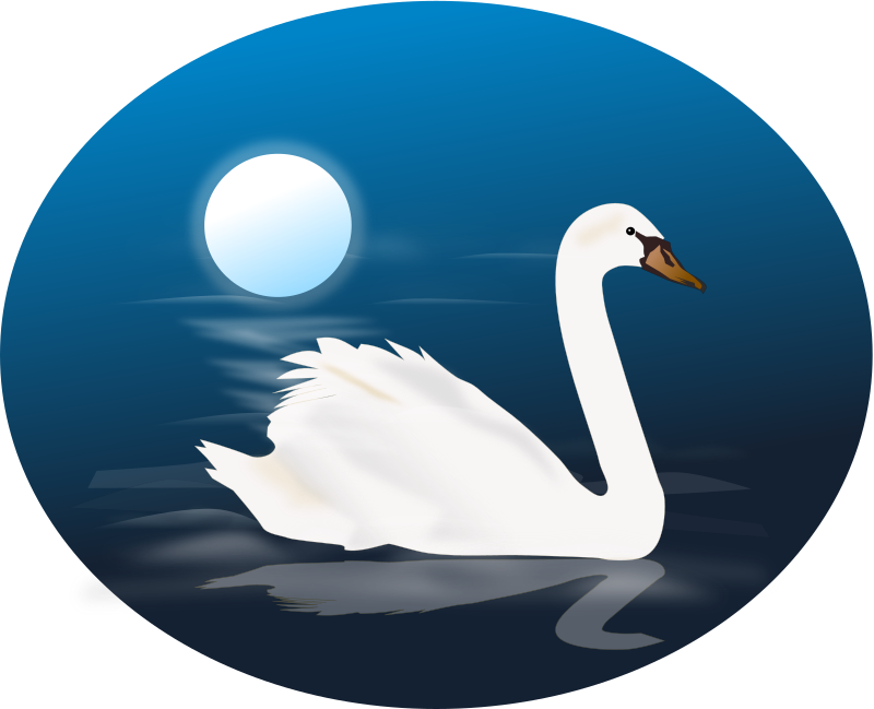 swan