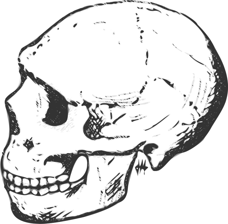 Amud skull (grayscale)