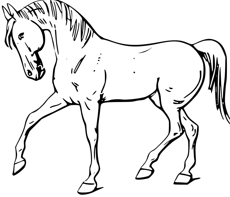 Walking horse outline