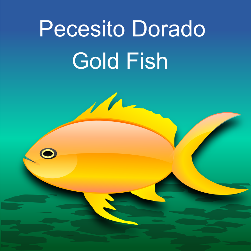 Pez dorado (gold fish)