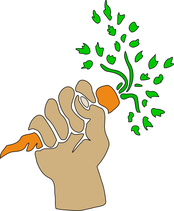 Hand holding carrot