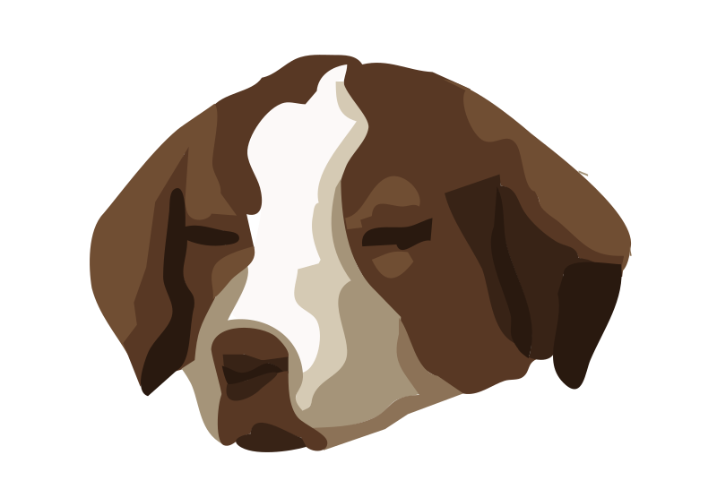 bored dog 01