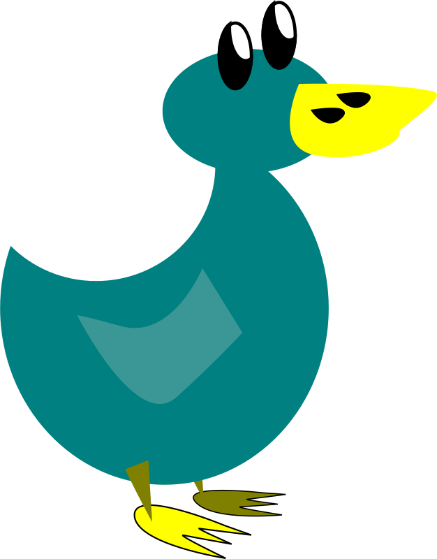 A Duck