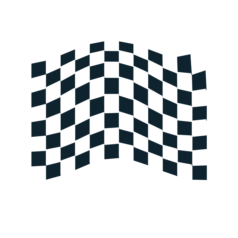 chequered flag icon 2