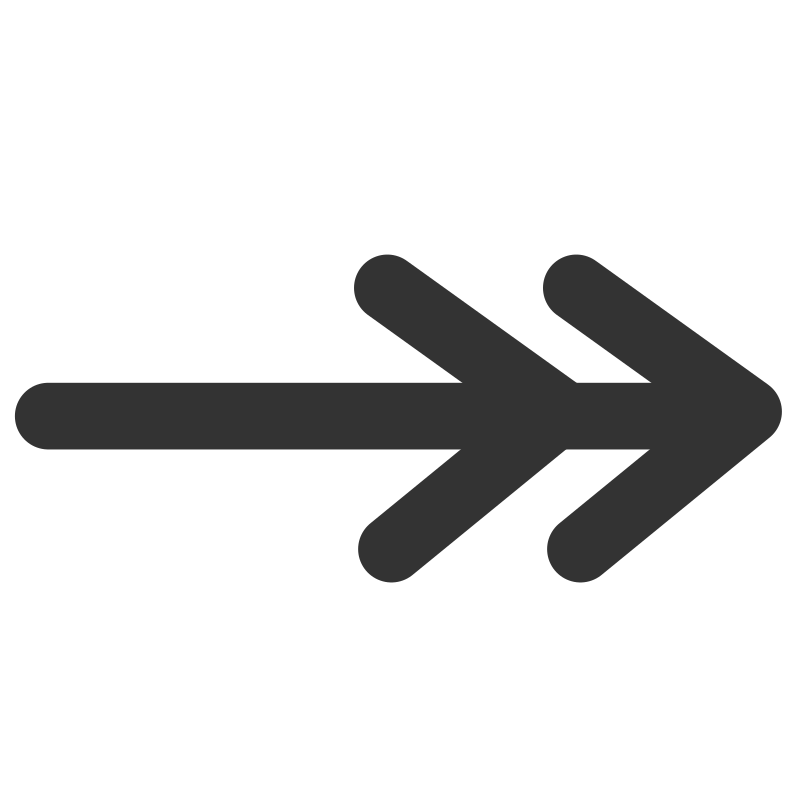 ftline double line arrow end