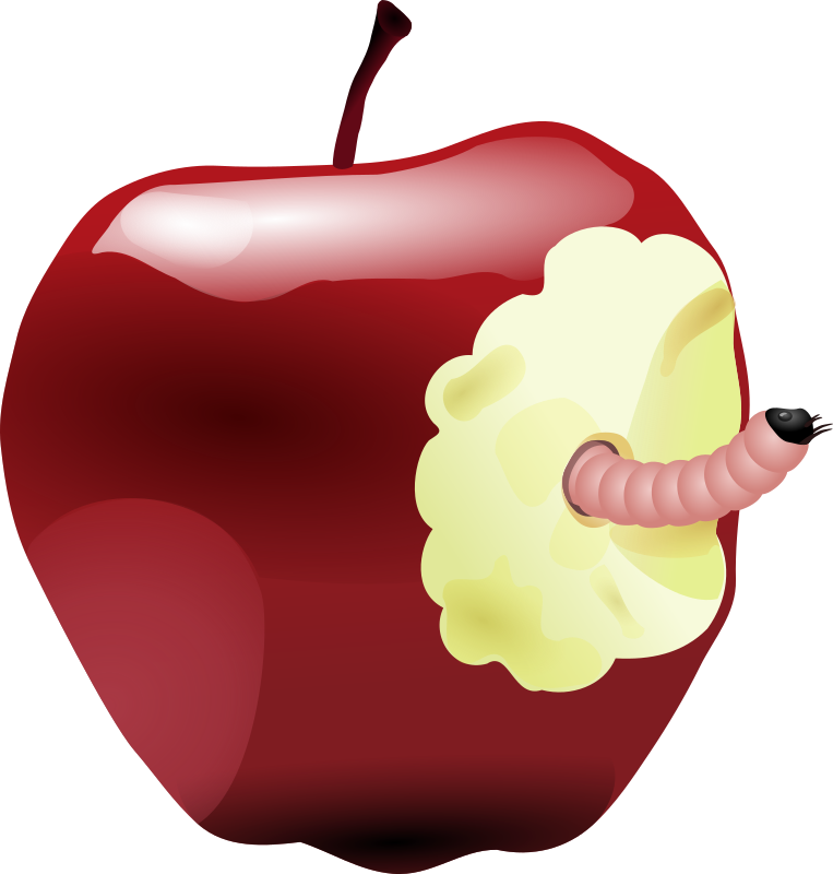apple with worm dan ger 01r